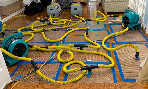 Professional Basement Flood Cleanup technician working in Eldridge, CA